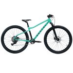 Rascal Wild 29 - 29" Youth Mountain Bike - 2023 - Teal