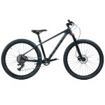Rascal Rebel 27 - 27.5" Youth Carbon Mountain Bike - 2023 - Carbon
