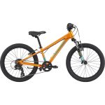 Cannondale KIDS TRAIL - 20" Kids Bike - 2022 - crush