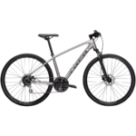 Trek Dual Sport 2 Silver 2021