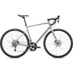 Specialized ALLEZ E5 DISC SPORT - Road Bike - 2024 - gloss dove grey / cool grey / chameleon lapis