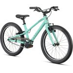 Specialized JETT 20 Singlespeed - 20" Children's Bike - 2024 - oasis / forest green - Image 3