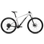 Ghost Lector SF LC - 29" Carbon Mountainbike - 2023 - light grey / black
