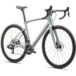 Specialized ROUBAIX SL8 EXPERT - Roadbike - 2024 - dove grey / chameleon lapis - Image 3