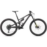 Specialized STUMPJUMPER EVO EXPERT - 29" Carbon Mountainbike - 2022 - satin carbon / olive green / black