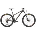 NS Bikes ECCENTRIC ALU - 29" Mountain Bike - 2022 - black