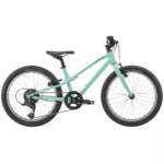 Specialized Jett 20 7-sp Gloss Oasis Forest Green 2022
