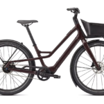 Specialized 2021 Turbo Como SL 4.0 (L) Cast Umber / Tr...