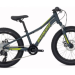 Specialized Riprock 20 [Colour: Carbon Gray/Hyper Green/Cool Gray] 2021