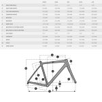 SCOTT CONTESSA SPEEDSTER GRAVEL 35 - Gravel Bike - 2023 - Image 2