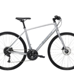 Trek FX 2 DISC Silver 2022
