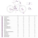 Liv PIQUE ADVANCED PRO 2 - 29" Women Mountainbike - 2022 - fanatic teal - Image 2