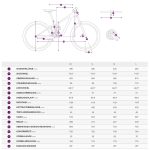 Liv PIQUE 2 - 29" Women Mountainbike -  2022 - purple ash - Image 2