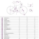 Liv LANGMA ADVANCED SL - Dura Ace Di2 Womens Road Bike - 2022 - Artic Light / Chrome - Image 2