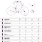 Liv DEVOTE 1 - GRX/Tiagra Women Gravel Bike - 2024 - grayish blue - Image 2