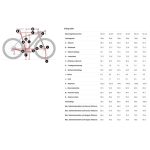 Trek Checkpoint SLR 6 AXS - Carbon Gravel Bike - 2024 - Era White/Emerald Iris - Image 2