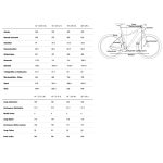 CUBE ACCESS WS SLX - Women Mountainbike - 2023 - grey / silver A00 - Image 2