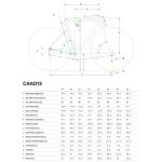 Cannondale CAAD13 Disc - Shimano 105 Roadbike - 2022 - candy red - Image 2