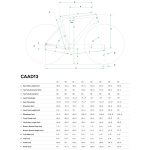 Cannondale CAAD13 Disc - Shimano 105 Roadbike - 2023 - matte black - Image 2