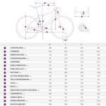 Liv DEVOTE ADVANCED 1 - Rival eTap AXS Women Gravel Bike - 2022 - Dynamic Bronze - Image 2