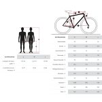 Diamant ELAN DELUXE - Women Trekkingbike - 2023 - Purpur - Image 2