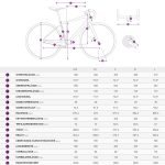 Liv LANGMA ADVANCED 1+ - Ultegra Women Road Bike - 2022 - cold iron - Image 2