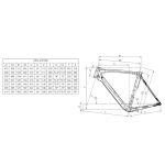 Bianchi OLTRE XR3 Disc - Chorus - Carbon Roadbike - 2023 - graphite / grey shade / metall mirror - Image 2