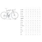 Orbea ORCA M20ILTD - Carbon Road Bike - 2024 - Tanzanite (matt) - Carbon Raw (matt) - Image 2