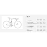 BH Bikes RS1 3.5 - Carbon Roadbike - 2024 - red / copper / red - Image 2