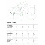 Cannondale SCALPEL Hi-MOD 1 - 29" Carbon Mountainbike - 2023 - tinted blue - Image 2