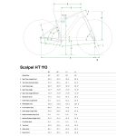Cannondale SCALPEL HT Hi-MOD 1 - 29" Carbon Mountainbike - 2022 - carbon - Image 2