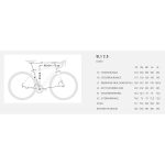 BH Bikes SL1 2.5 - Carbon Roadbike - 2024 - silver / copper / green - Image 2