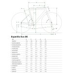 Cannondale SUPERSIX EVO SE - Carbon Gravelbike - 2023 - meteor gray - Image 2