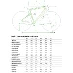 Cannondale SYNAPSE CARBON 2 RLE - Shimano Ultegra Di2 Roadbike - 2023 - grey - Image 2