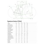 Cannondale TOPSTONE Carbon 2 L - Shimano GRX - Gravelbike - 2024 - jade - Image 2