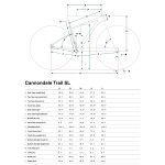 Cannondale TRAIL SL 3 - 29" Mountainbike - 2022 - green - Image 2