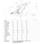 GT Bicycles FORCE CARBON ELITE - 29" Mountainbike - 2022 - tan - Image 2