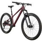 Cannondale HABIT HT 2 - 29" Mountainbike - 2023 - black cherry - Image 3