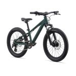 Giant STP 20" FS Kids Mountainbike - 2023 - trekking green - Image 3