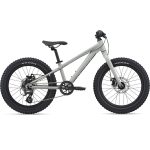 Giant STP 20" Kids Mountainbike - 2024 - concrete