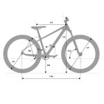 Rascal Rebel 29 - 29" Youth Carbon Mountain Bike - 2023 - Carbon - Image 2