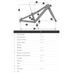 SCOTT ROXTER 24 - 24" Children's Bike - 2023 - silver - Image 2