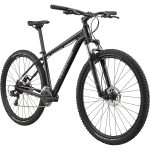 Cannondale TRAIL 8 - 29" Mountainbike - 2023 - grey - Image 3