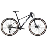 BMC TWOSTROKE AL THREE - 29" Mountain Bike - 2023 - black / brushed alloy